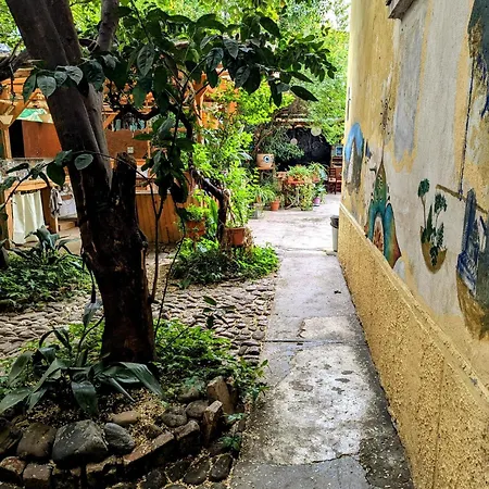 Hostel Backpacker Tirana