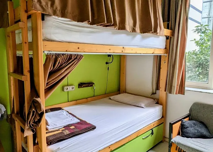 Backpacker Hostal