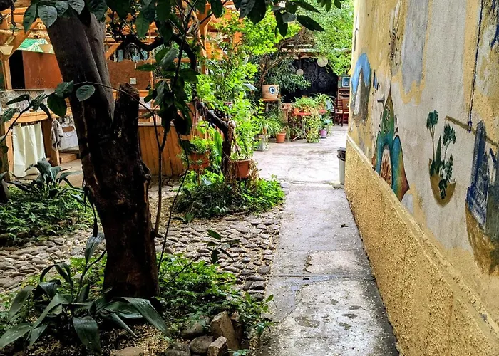 Hostel Backpacker Tirana